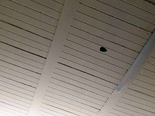 BlueAura69