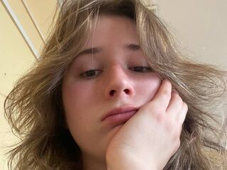 live webcam TessTelles