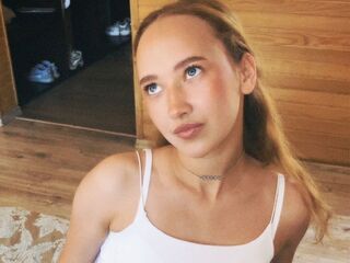 real live cam VeniceMidden